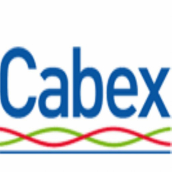 Итоги выставки Cabex 2015